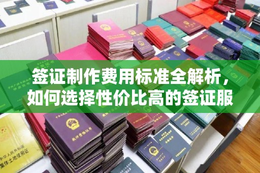 大邑签证制作费用标准全解析，如何选择性价比高的签证服务？
