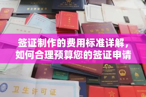 广南签证制作的费用标准详解，如何合理预算您的签证申请成本